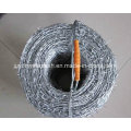 Galvanized Barbed Wire Bwg12*Bwg12 Hot Sale with Certification (Factory)